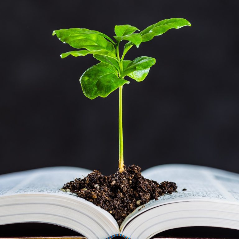 Licenciamento Ambiental