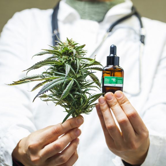 Plantas Medicinais e Fitoterapia nas Práticas Integrativas e Complementares