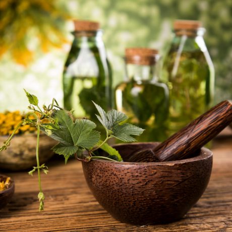 Fitoterapia aplicada à Nutrição