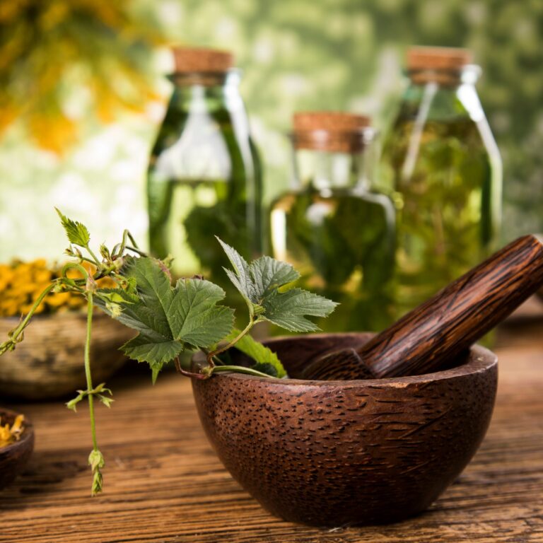 Fitoterapia aplicada à Nutrição