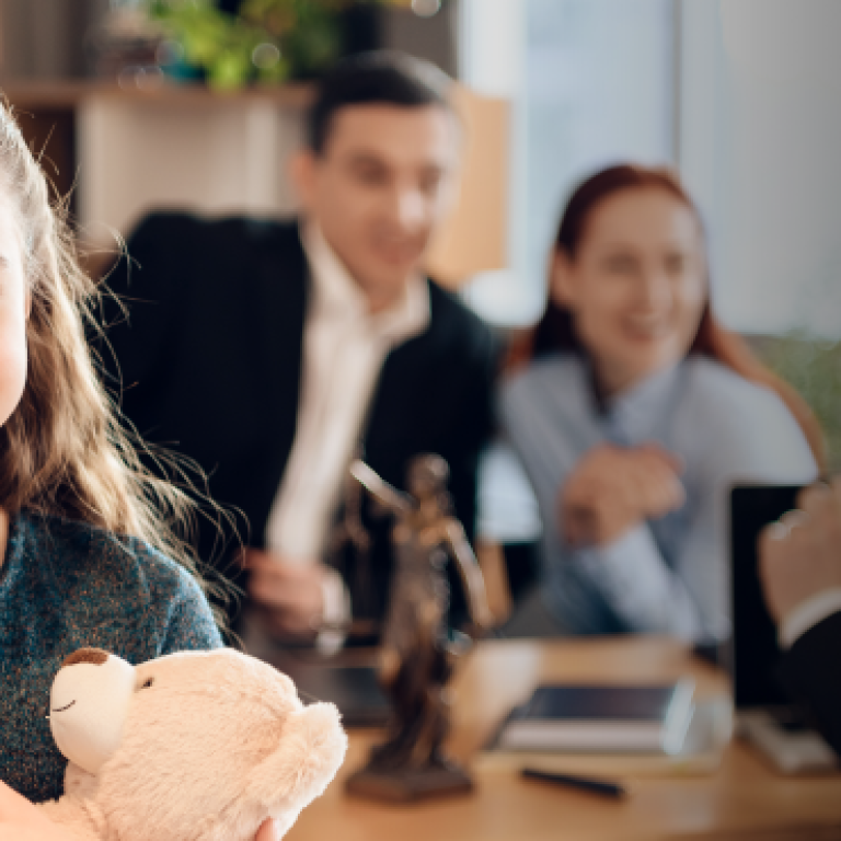 O Direito da Criança e do Adolescente, Direito das Famílias e Sucessões na LGPD