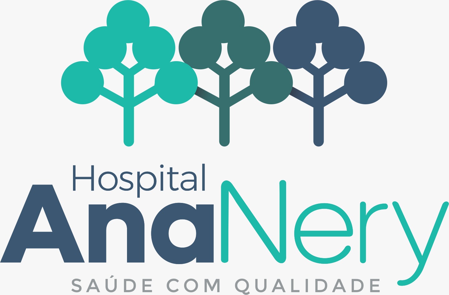 Hospital Ana Nery